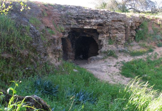 Afeka Caves